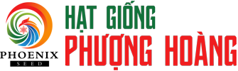 Hạt Giống Phượng Hoàng